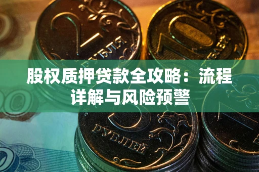 北京股权质押贷款全攻略：流程详解与风险预警