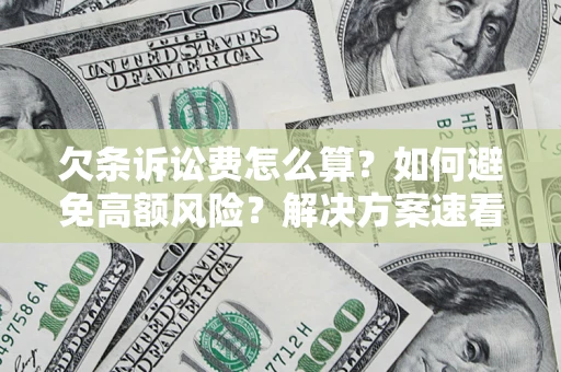 北京欠条诉讼费怎么算？如何避免高额风险？解决方案速看！