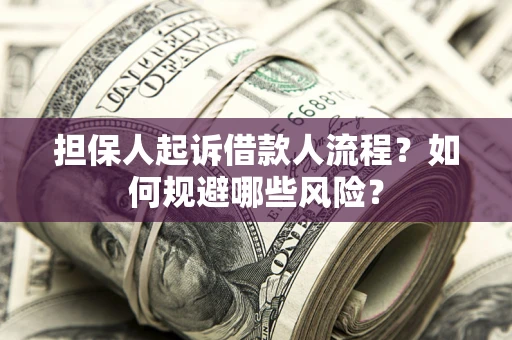 北京担保人起诉借款人流程？如何规避哪些风险？