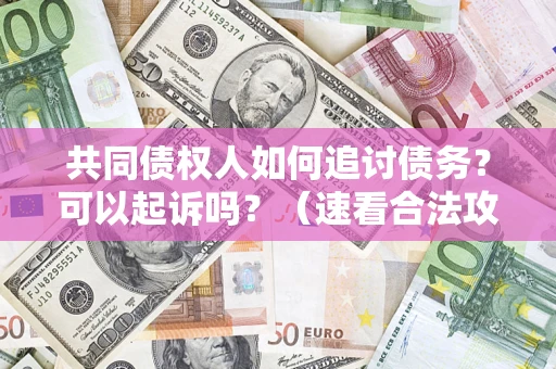 北京共同债权人如何追讨债务？可以起诉吗？（速看合法攻略）